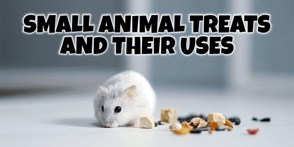 Small Animal Treats and Their Uses - Pisces Pet Emporium