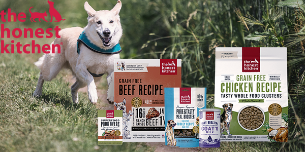 Lisa's Pick - The Honest Kitchen - Pisces Pet Emporium