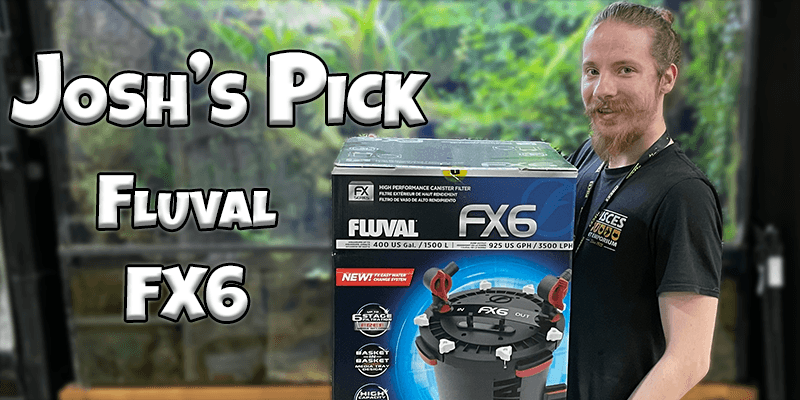Josh's Pick - Fluval FX6 - Pisces Pet Emporium