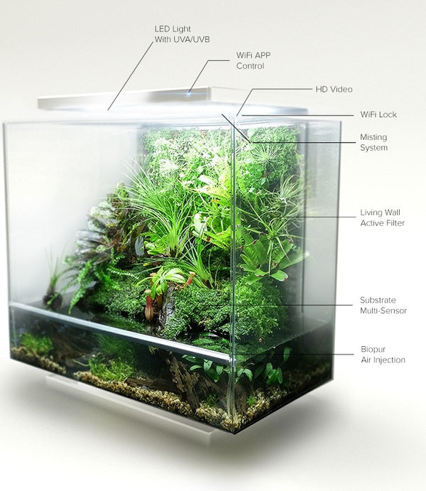 Biopod Self-contained Ecosystem - Pisces Pet Emporium