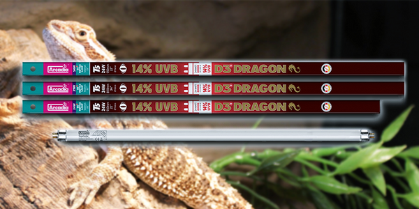 Brad's Pick - Arcadia D3 Dragon T5's - Pisces Pet Emporium