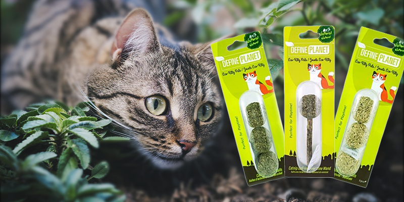 Cali's Pick - Silvervine and Catnip Toys - Pisces Pet Emporium
