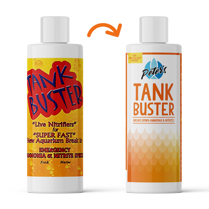 Tate's Pick: Tank Buster - Pisces Pet Emporium