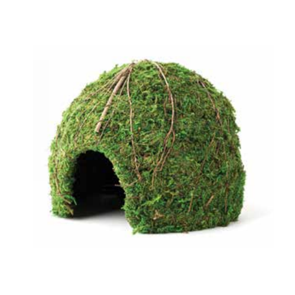 Galapagos Mossy Dome Hide - Pisces Pet Emporium
