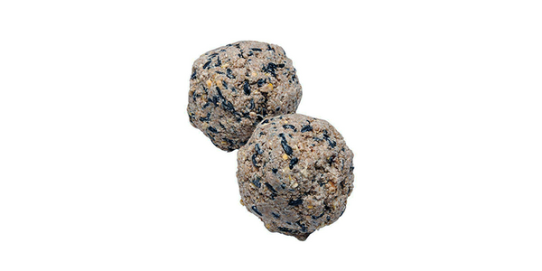 Nick's Pick - Suet! - Pisces Pet Emporium