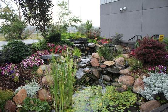 Preparing For Pond Season - Pisces Pet Emporium