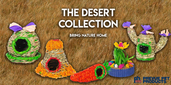 Keegan's Pick: The Desert Collection - Pisces Pet Emporium