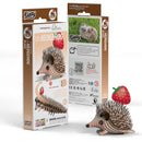 EUGY 3D Puzzle Model Kit