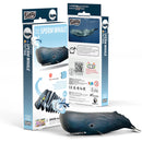 EUGY 3D Puzzle Model Kit
