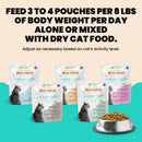 Almo Nature Hydration Help HQS Salmon Recipe in Broth Cat Food 50g