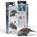 EUGY 3D Puzzle Model Kit