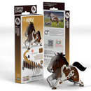 EUGY 3D Puzzle Model Kit