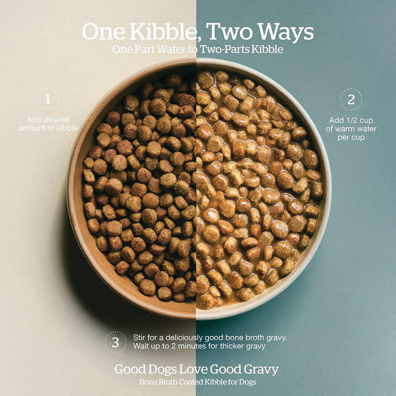 Now Fresh Good Gravy Cage-Free Chicken Recipe Dry Dog Food