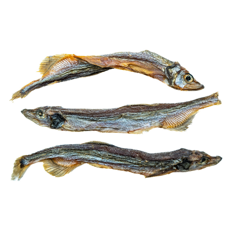 Sydney's Harbour Cole Harbour Capelin 71g