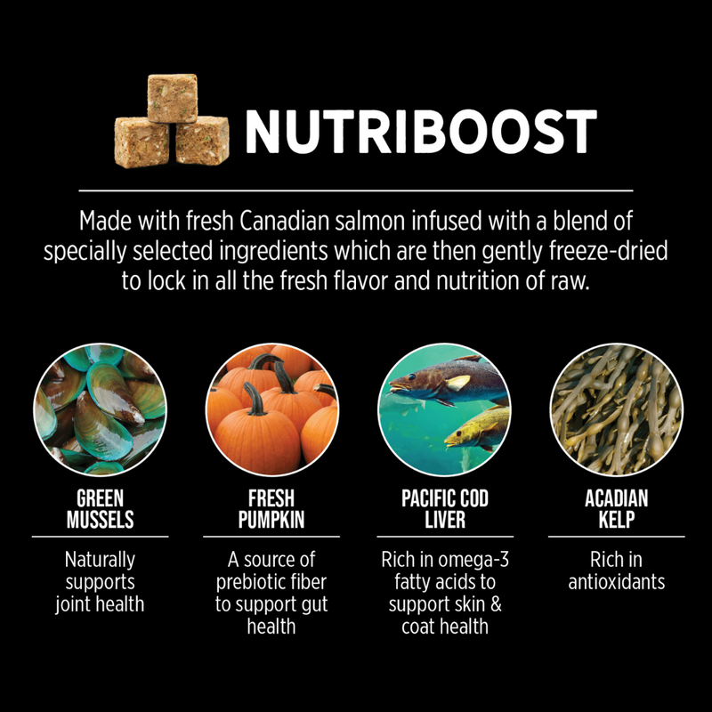 Nutrience SubZero Canadian Pacific High Protein Dog Food 10kg
