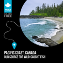 Nutrience SubZero Canadian Pacific High Protein Dog Food 10kg