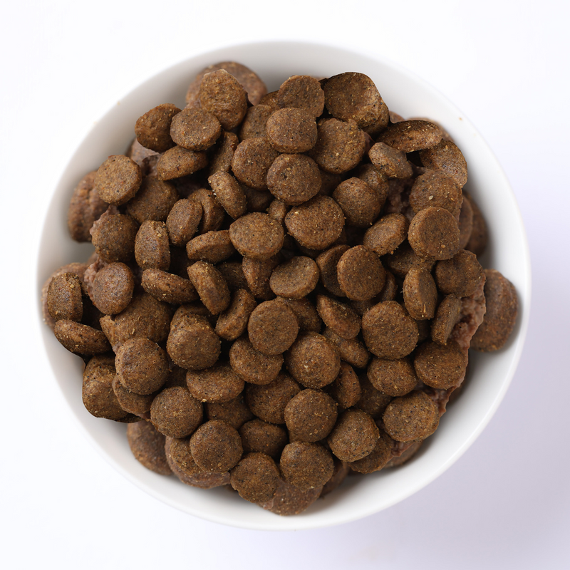 Farmina N&D Pumpkin Lamb, Pumpkin and Blueberry Recipe Mini Puppy Food