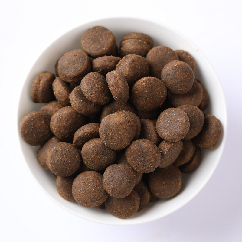 Farmina N&D Pumpkin Lamb, Pumpkin and Blueberry Recipe Medium & Maxi Puppy Food