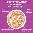 Koha Limited Ingredient Bland Diet Beef & White Rice Recipe for Dogs 355g