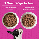 Koha Minimal Ingredient Pork Stew for Dogs 360g
