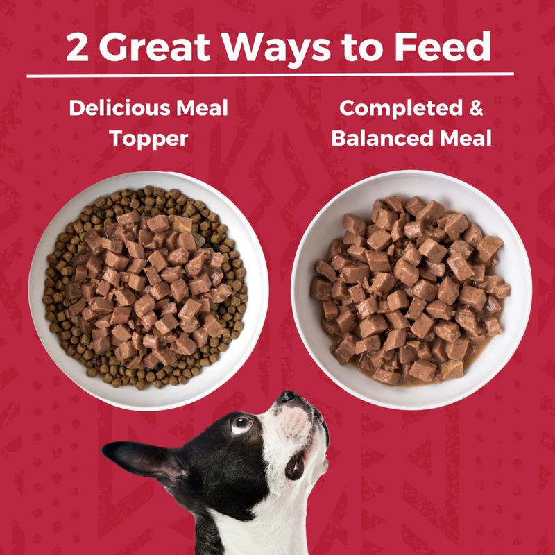 Koha Minimal Ingredient Beef Stew for Dogs 360g