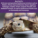 Mazuri Tortoise LS Diet 340g