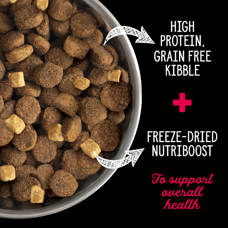 Nutrience SubZero Prairie Red Large Breed Dog Food 10kg