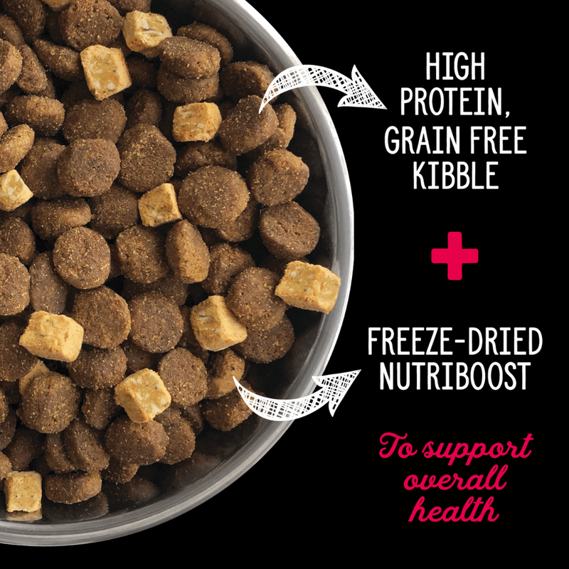 Nutrience SubZero Prairie Red High Protein Dog Food 10kg