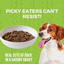 Koha Minimal Ingredient Duck Stew for Dogs 360g