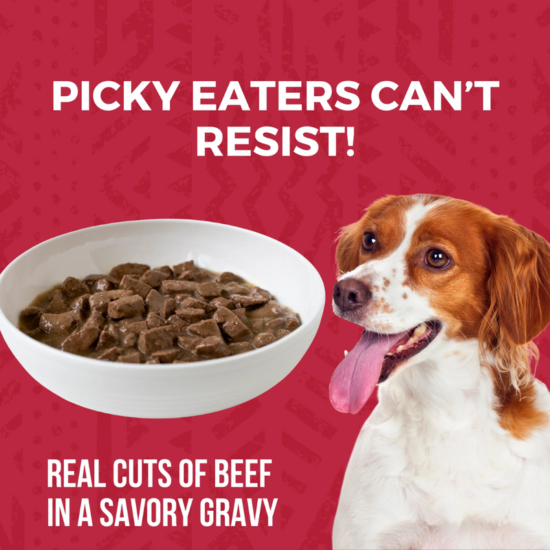 Koha Minimal Ingredient Beef Stew for Dogs 360g