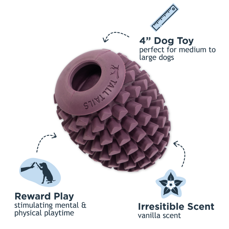 Tall Tails Natural Rubber Pinecone Reward Dog Toy