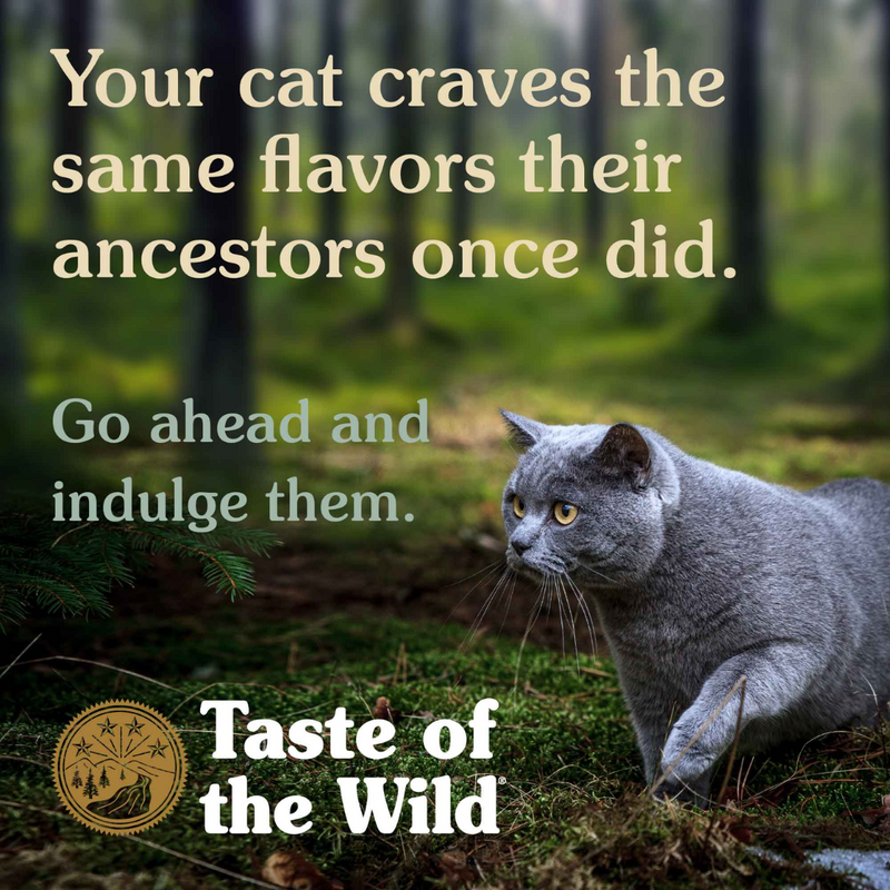 Taste of the Wild Rocky Mountain Cat Food 6.35kg