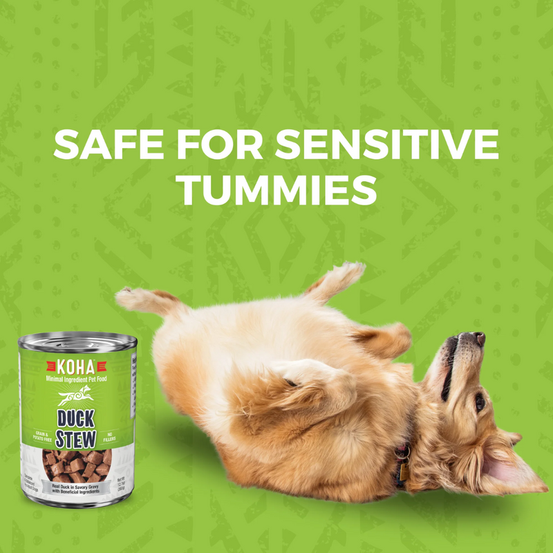 Koha Minimal Ingredient Duck Stew for Dogs 360g