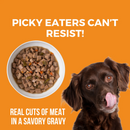 Koha Big Easy Feast Turkey, Chicken & Duck Recipe for Dogs 360g