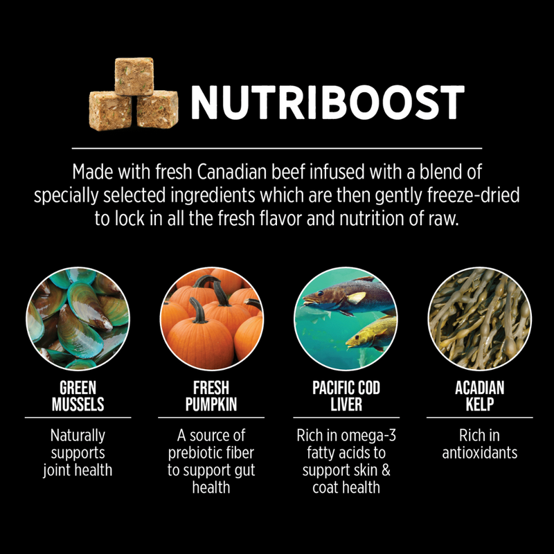 Nutrience SubZero Prairie Red High Protein Cat Food