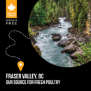 Nutrience SubZero Fraser Valley High Protein Dog Food