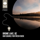 Nutrience SubZero Northern Lakes Fish & Duck Dog Food