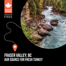 Nutrience SubZero Turkey & Pumpkin Limited Ingredient Cat Food