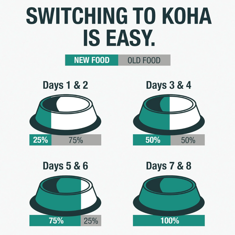 Koha Minimal Ingredient Duck Stew for Dogs 360g