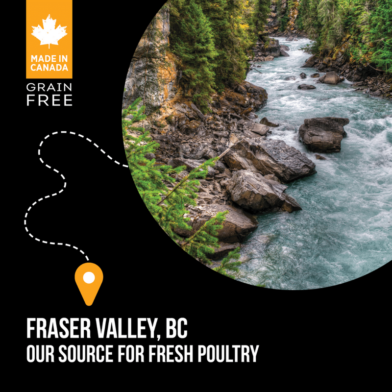 Nutrience SubZero Fraser Valley High Protein Cat Food