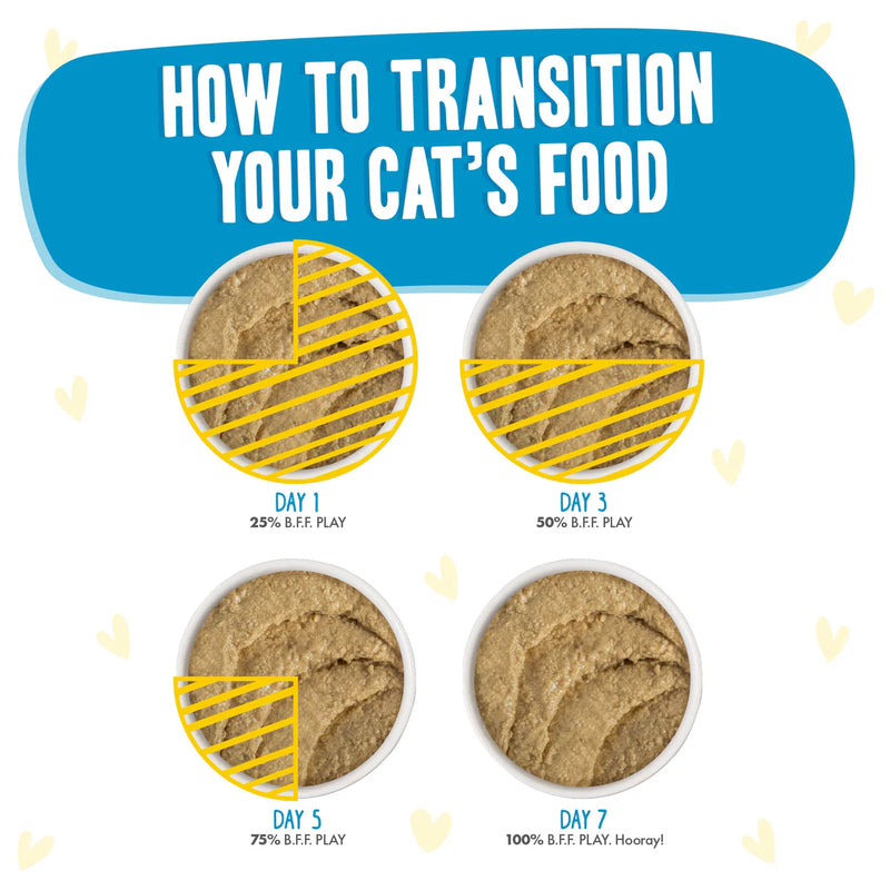 Weruva BFF Play Paté Chicken Cherish Wet Cat Food Pouch 85g