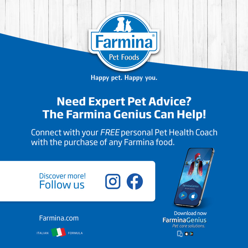 Farmina N&D Quinoa Skin & Coat - Venison & Coconut Recipe Wet Cat Food 80g