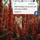 Farmina N&D Quinoa Weight Management Recipe Wet Cat Food 80g