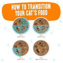 Weruva BFF OMG Gravy Chicken, Turkey, & Salmon Purr-Fect Plannin'! Wet Cat Food Pouch 80g