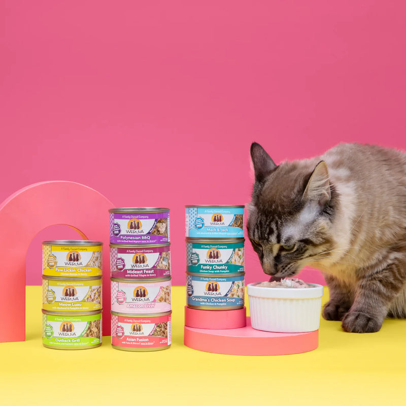 Weruva Classic Asian Fusion Wet Cat Food 156g