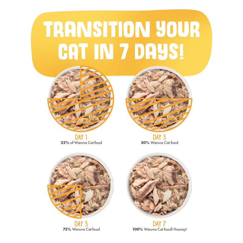 Weruva Classic Asian Fusion Wet Cat Food 156g