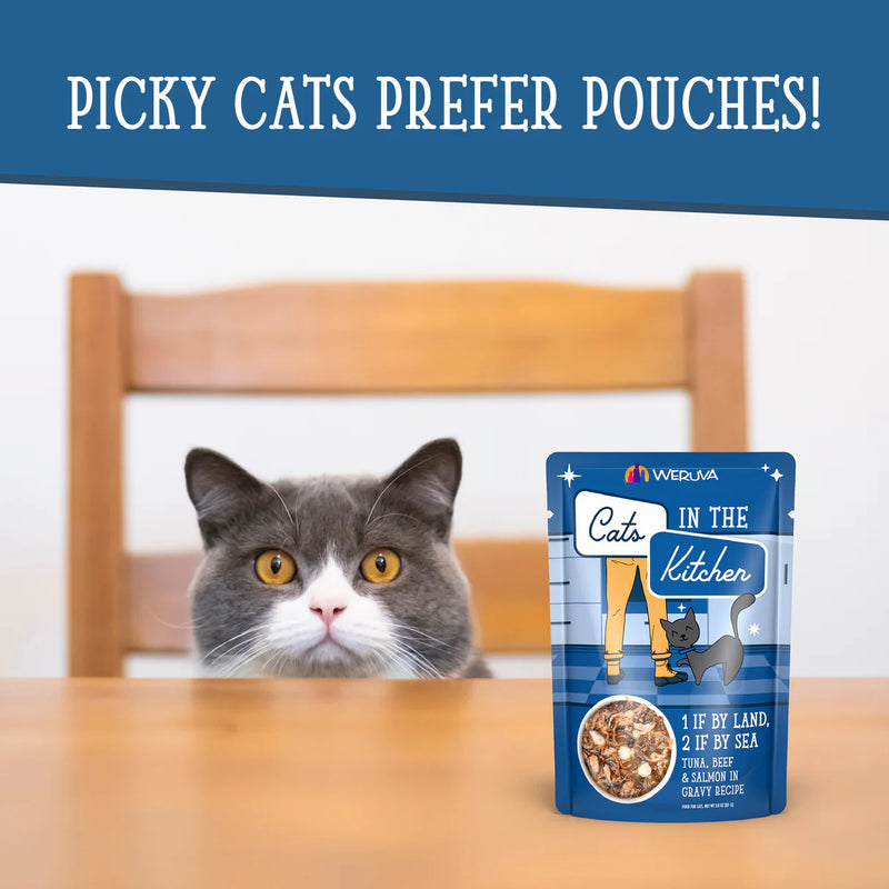 Weruva Cats in the Kitchen 1 If By Land, 2 If By Sea Wet Cat Food Pouch 85g