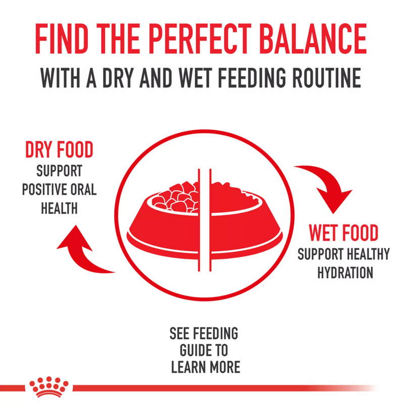Royal Canin Indoor Hairball Care Cat Food 1.37kg