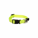 Rogz Utility Classic Dog Collar - Medium