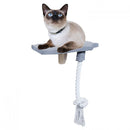 All For Paws Skywalk Step-In Platform
